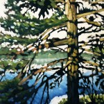 Thousand Islands 2