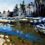 Ausable River Study