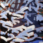 First Snow Study