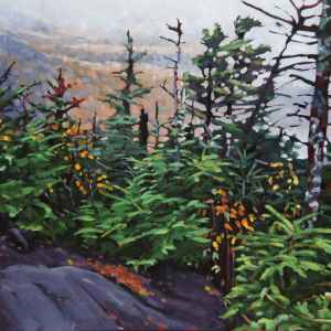 Treeline, <span class='en'>oil on panel,</span> <span class='fr'>huile sur panneau,</span> 24<span class='en'>in</span><span class='fr'>po</span> x 24<span class='en'>in</span><span class='fr'>po</span> (<span class='en'>SOLD</span><span class='fr'>VENDU</span>)